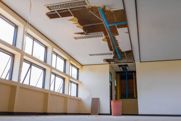 Best Local water damage restoration  in Belle Plaine, KS