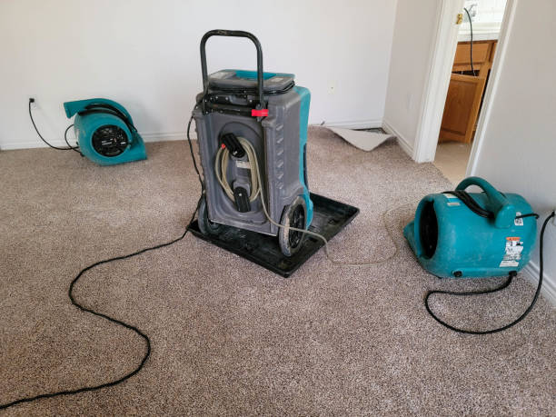 Water damage restoration experts in Belle Plaine, KS