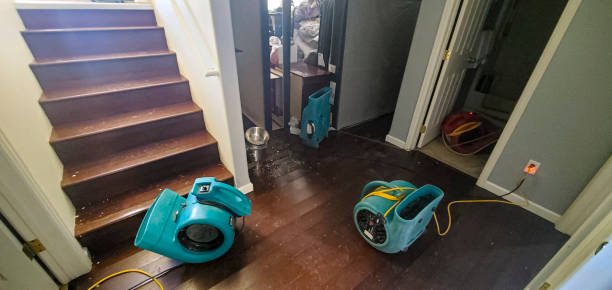 Best Water damage restoration experts  in Belle Plaine, KS