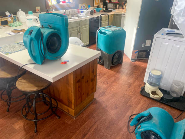 Best Mold removal after water damage  in Belle Plaine, KS