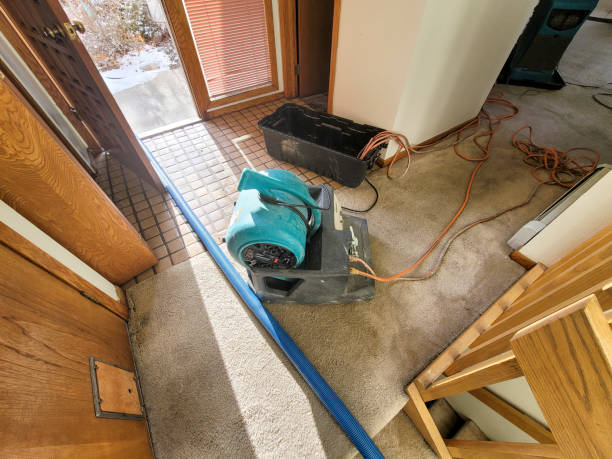 Trusted Belle Plaine, KS Water damage restoration Experts