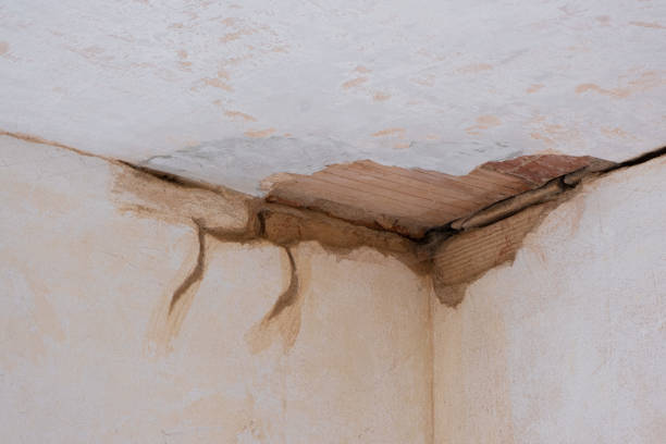 Best Ceiling water damage repair  in Belle Plaine, KS