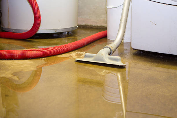 Best Water damage contractors near me  in Belle Plaine, KS