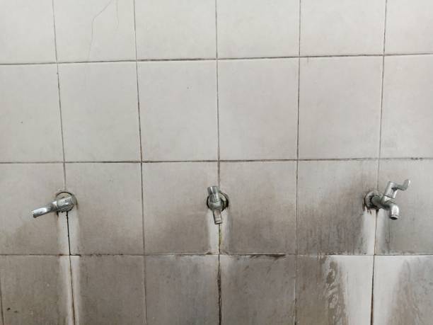 Local water damage restoration in Belle Plaine, KS