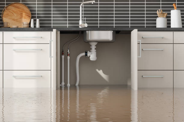 Best Water damage restoration near me  in Belle Plaine, KS