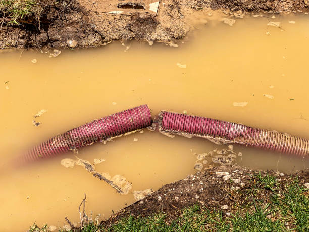Best Water damage restoration near me  in Belle Plaine, KS