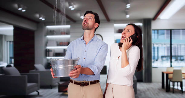 Best Water damage restoration services  in Belle Plaine, KS
